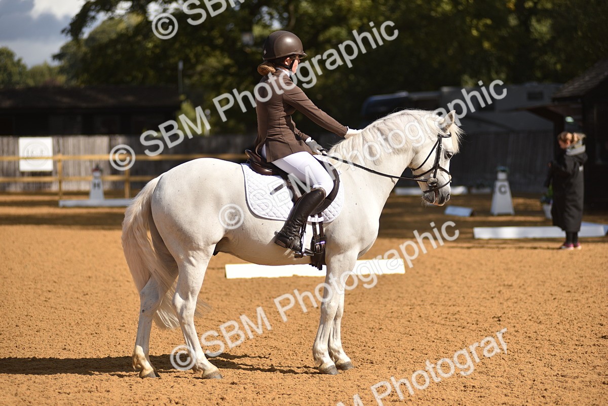 SBM_03003 - D4 - Small Tour Championship Intro 4