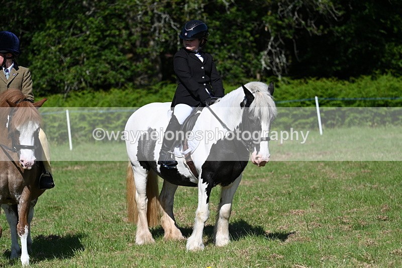 WJ7_0394 - Class 8 First Rally Pony