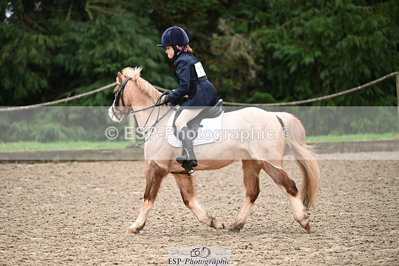 260222A-093055-00133 - 40cm Lead Rein and Assisted