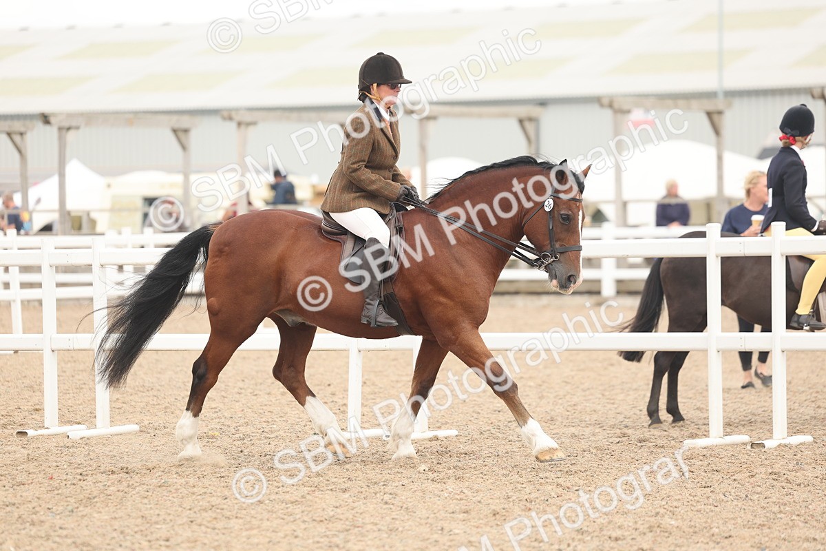 SBM_18159 - Class 315 - Best Horse-Rider Combination