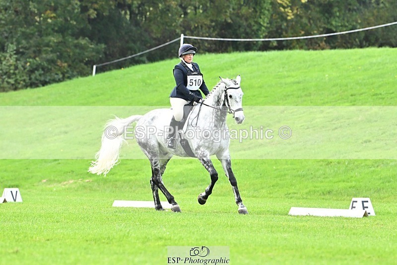 241024-115222-02515 - 510-Kathryn.Virjee-BROWNSTOWNS.SEAWATCH