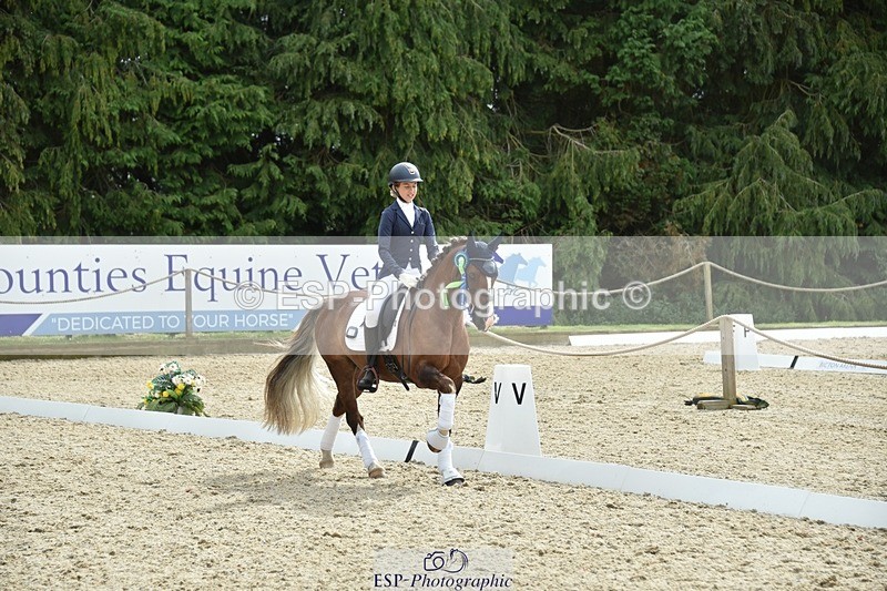 230812-160920-05431 - Novice Bronze Presentations