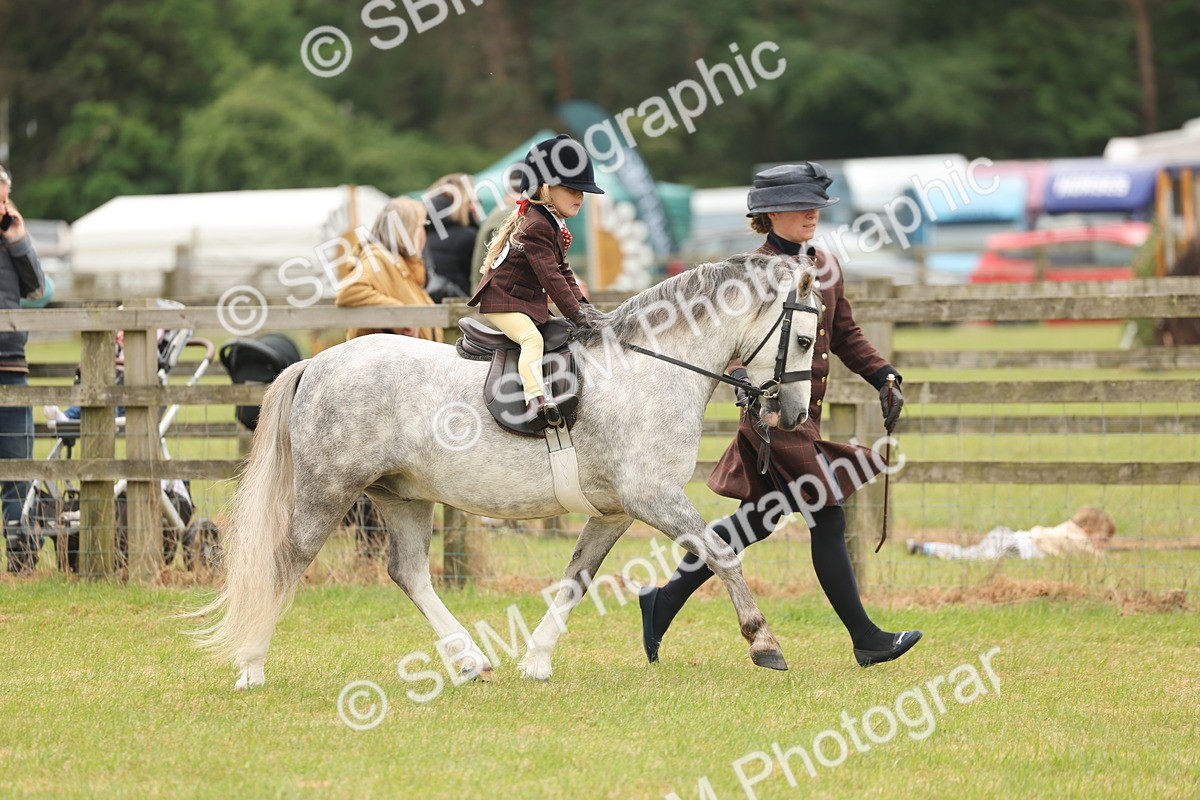 SBM_06670 - Class 74-75 - M&M Lead Rein and First Ridden Pony