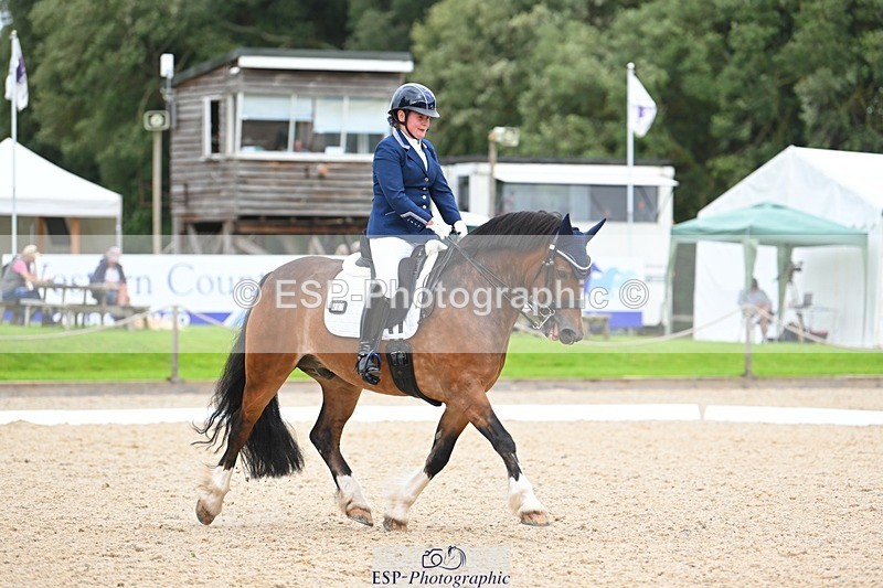 230813-142112-07734 - Cls 13 Medium Bronze 13.15 to End