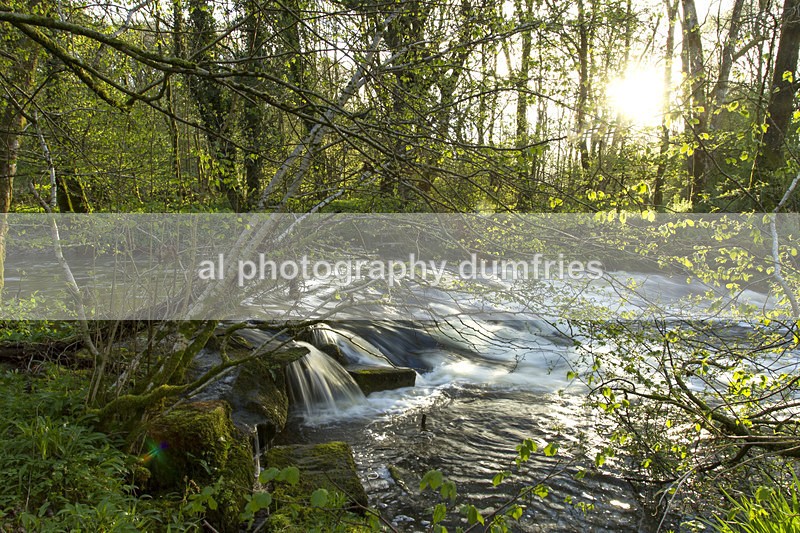 Cluden Burn - Landscape