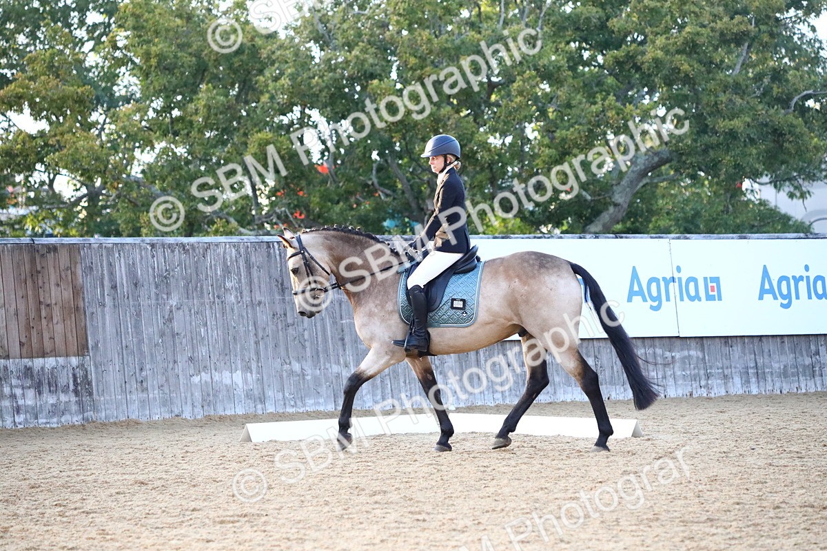 SBM_31831 - D11 - Small Tour Championship Prelim 1