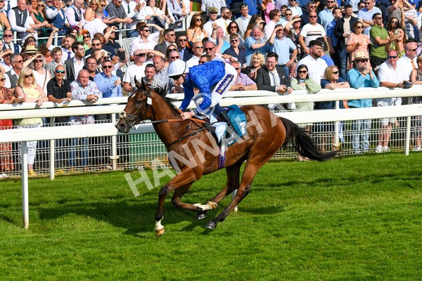 270523-Race 7-Shining Blue-1008 - Race 7 5.00pm Reg Bond Always And Forever Handicap