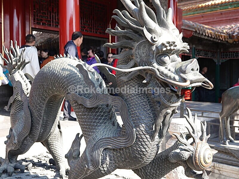 CHINA__1142 - China 2019