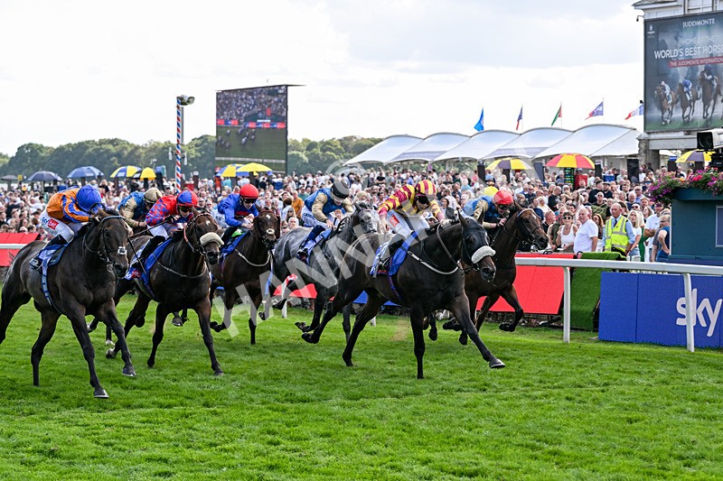 220826-Race 5-Sondad-1097 - Race 5 16.10pm Sky Bet Constantine Handicap
