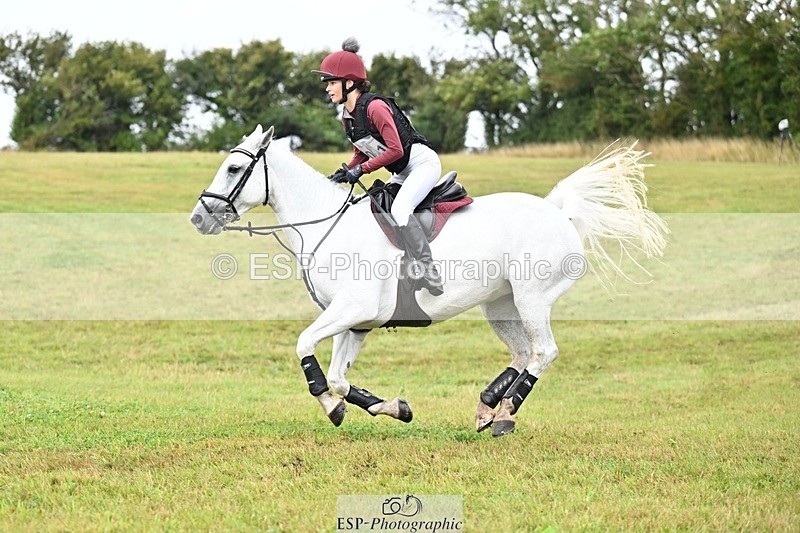 TS_b1433088 - SAT BE 90 Recovered Files fence 8