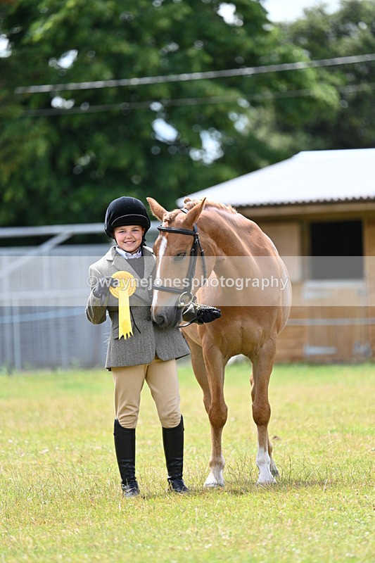 WJ7_6721 - Class 5 Handsome Gelding in hand