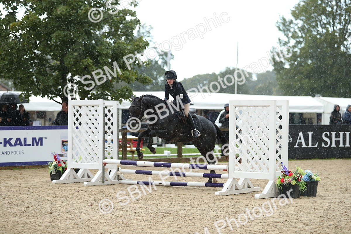 SBM_37163 - J20 - Junior Horse 50cm Championship