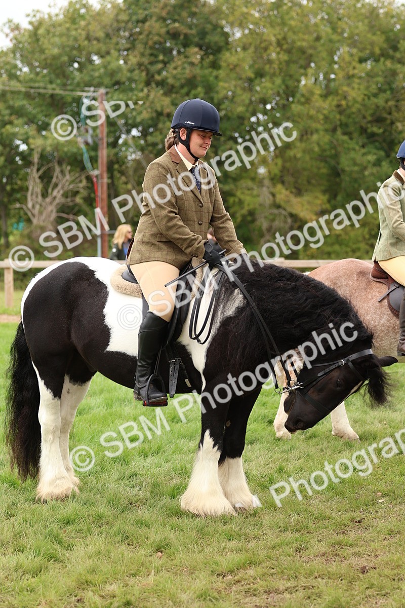 SBM_64576 - S58 - Coloured Pony Ridden