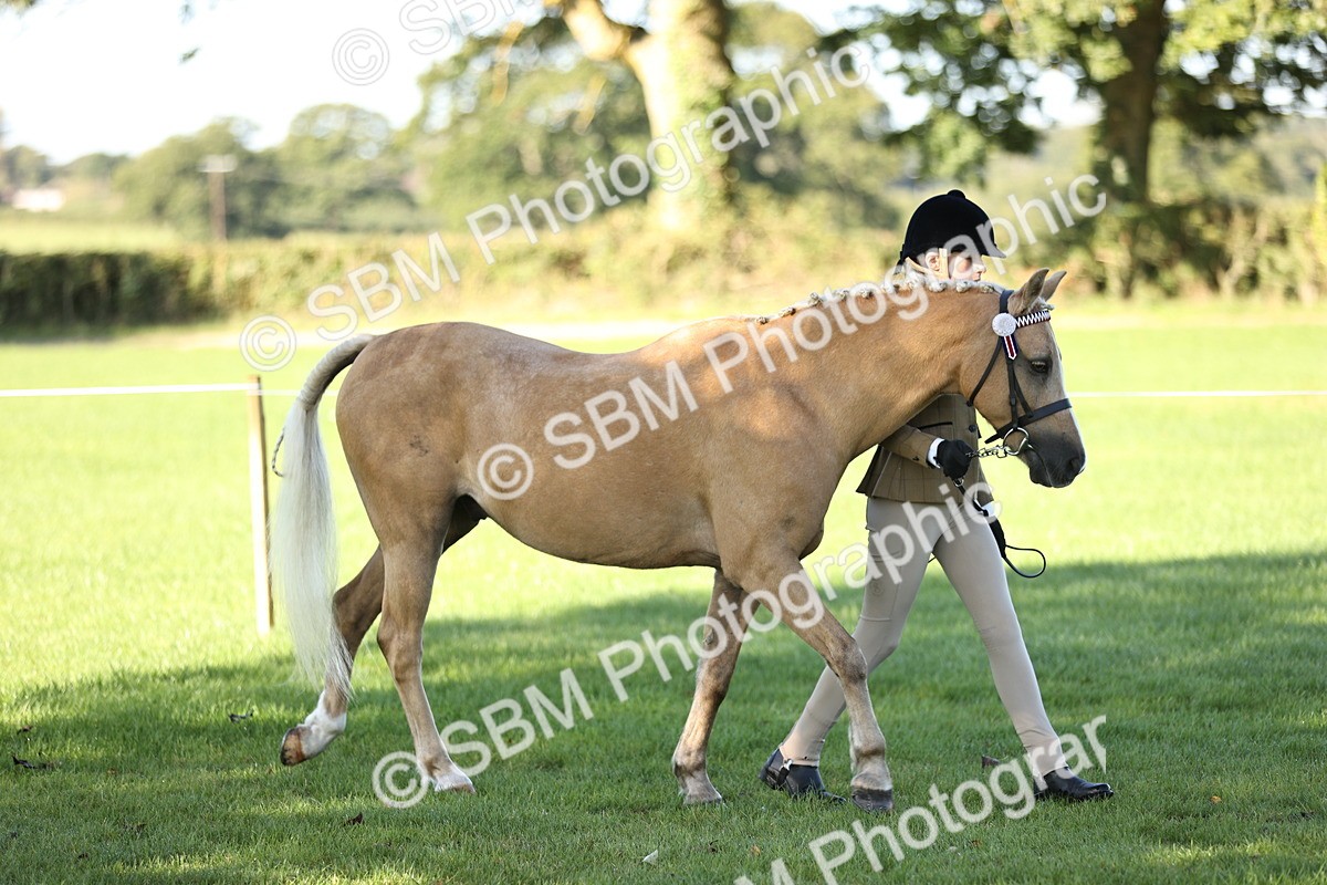 SBM_15841 - S1 - TSR in Hand Horse & Pony Showing