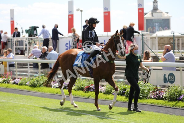 yr12062021r1-3 - Race 1 2.00pm Queen Mother's Cup