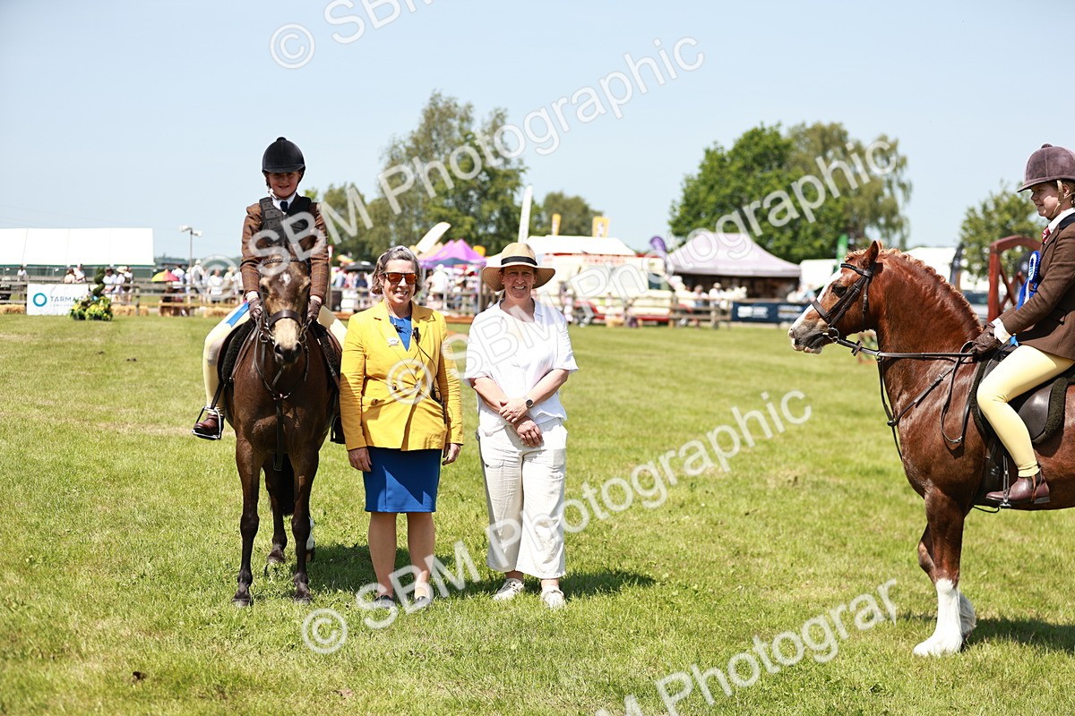 SBM_15824 - Class 108-109 - BSPS LIHS Open Gradle & Nursery Stakes