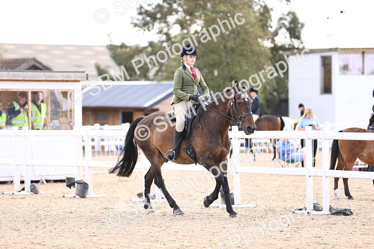 SBM_12967 - Class 410 - Grassroots Ridden - Horse