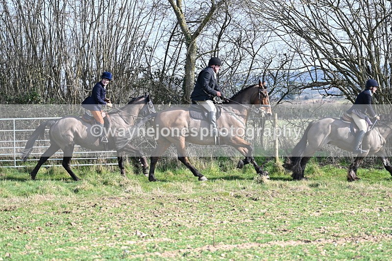 WJ7_5919 - Camera A