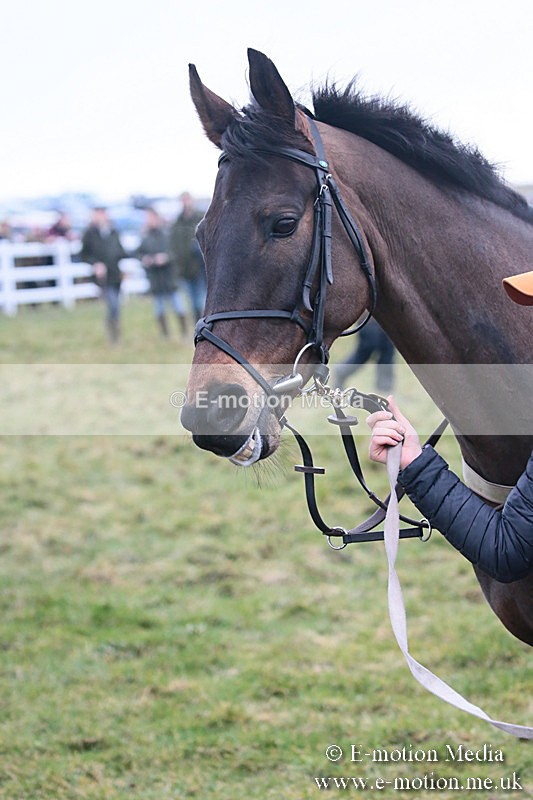 PtP 170219 -359 - Combined Services Point-To-Point Larkhill 17/02/19
