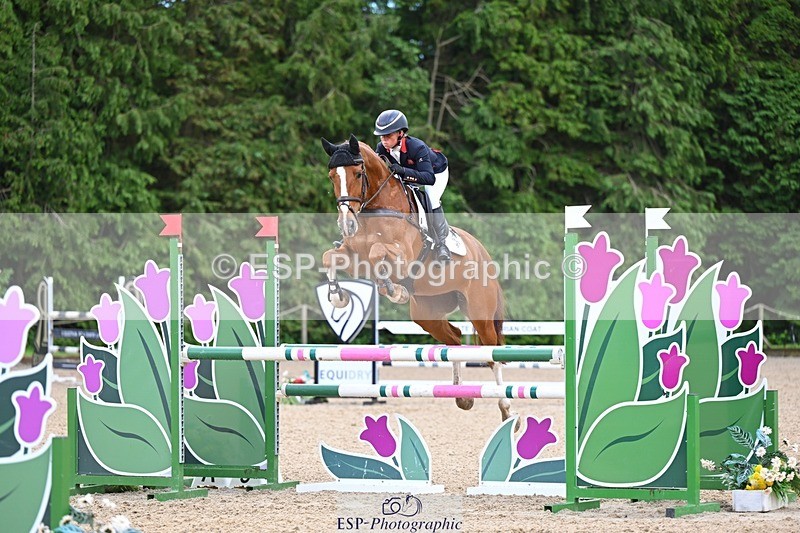 240526-162102-25400 - 233-SILVESTERS_FINESSE-Rosalind_Canter