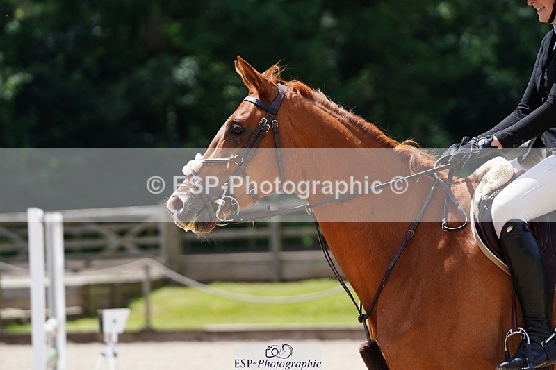 250615A-134900-11269 - Class 47 Snr British Novice 2nd Rnd