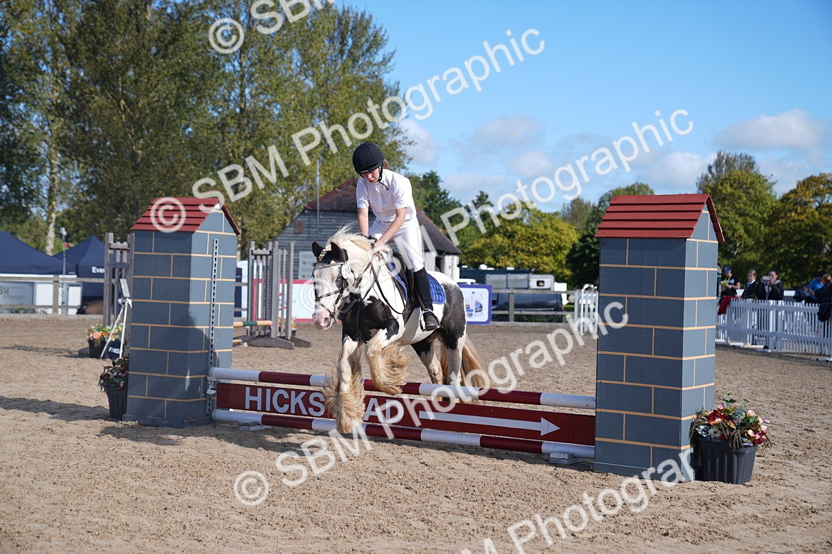 SBM_02364 - J54 Clear Round 45cm