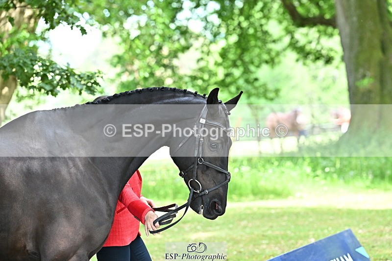 250521A-151420-00362 - B-304-Katie.Magee-CUSHLAS.INDIGO