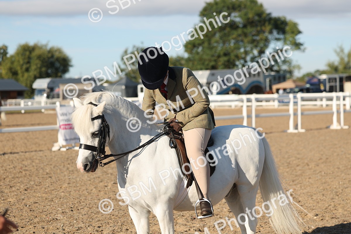 SBM_10922 - Class 301 - Ridden M&M Small Breeds