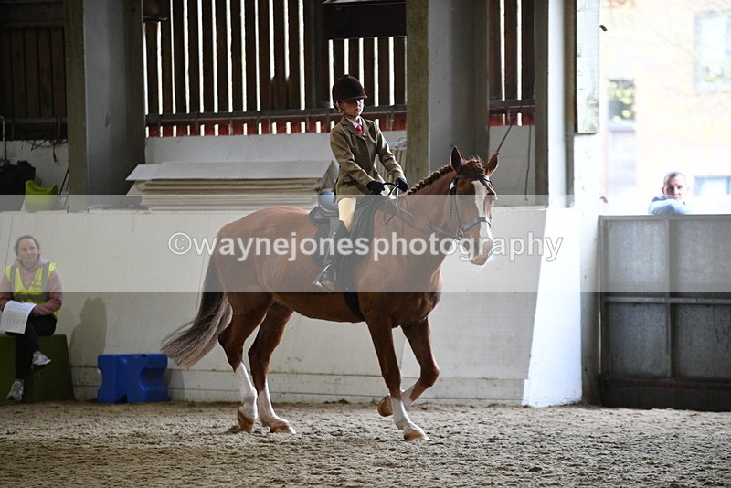 WJ5_6377 - Class 9 Ridden Veteran