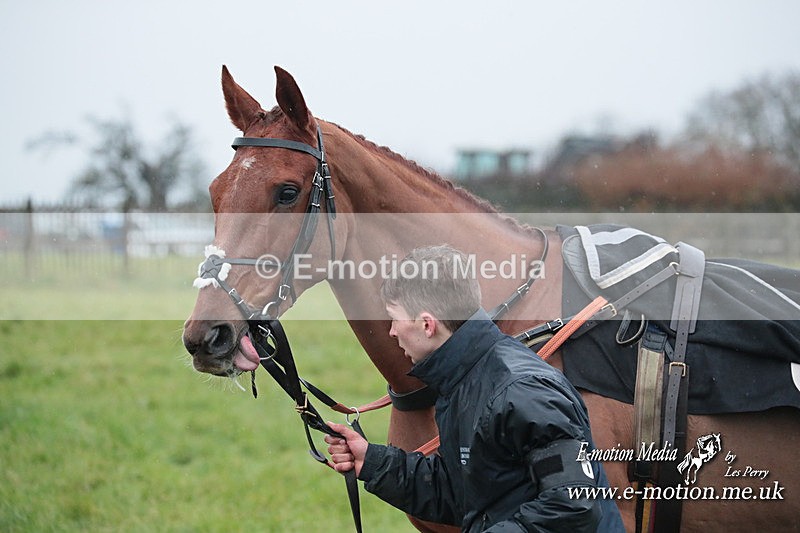 PtP 031223 428 - Wheatland Hunt PtP Chaddesley Races 03/12/23