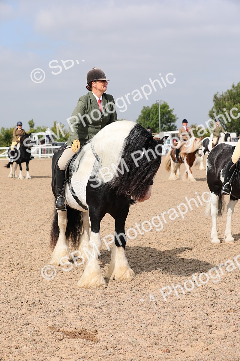 SBM_12838 - Class 307 Ridden Coloured Pony
