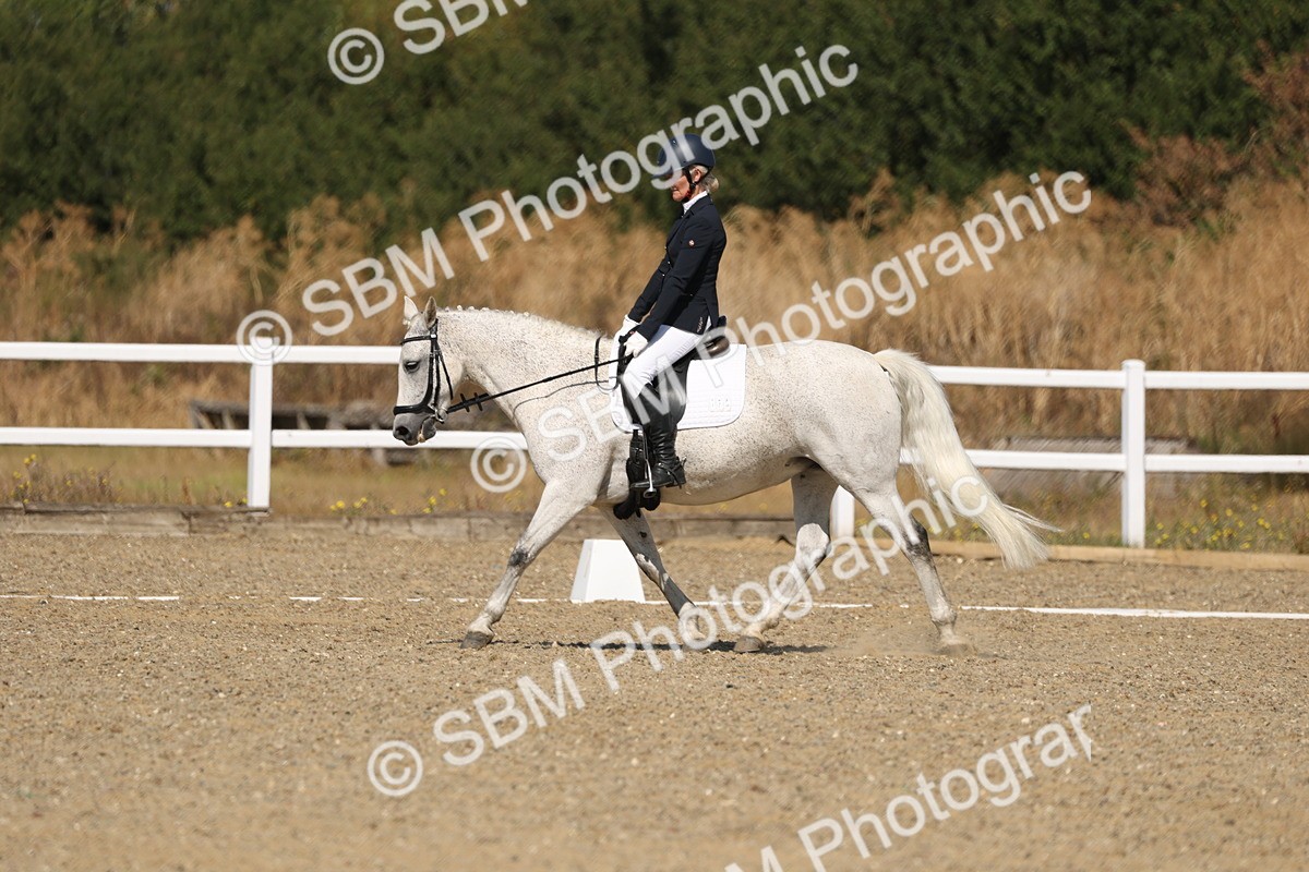 SBM_013567 - Class 1 - P5 Bronze 10.38.12.02