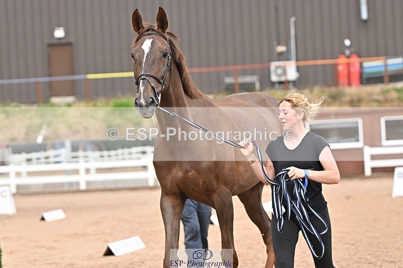 250716-162010-02580 - Trot Up 3.30 to 4.30