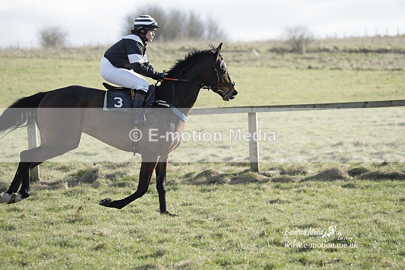 PtP 260223 1135 - South & West Wilts Point-to-Point Larkhill 26/02/23