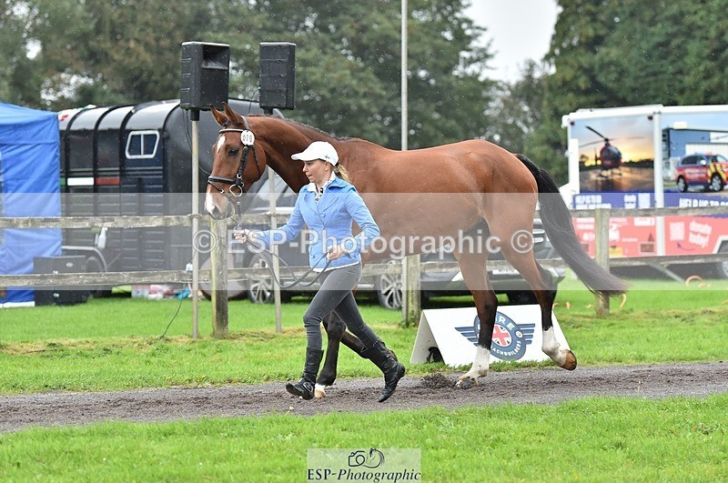 231018-124940-00550 - 070-SLIGO.CASTLE.JACOMAR-Veera.Peltokangas-TrotUp