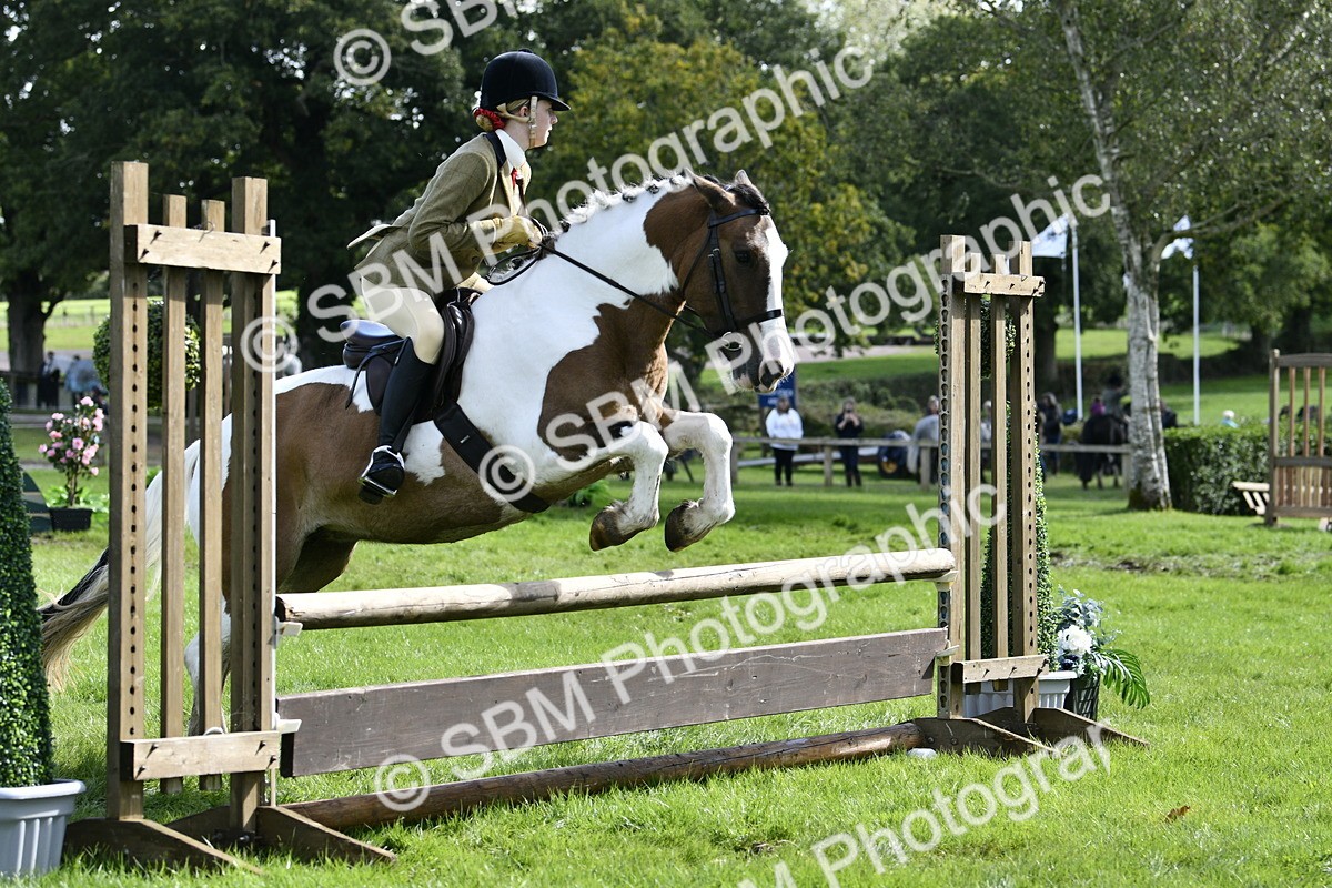 SBM_45691 - S33 - Working Hunter Pony