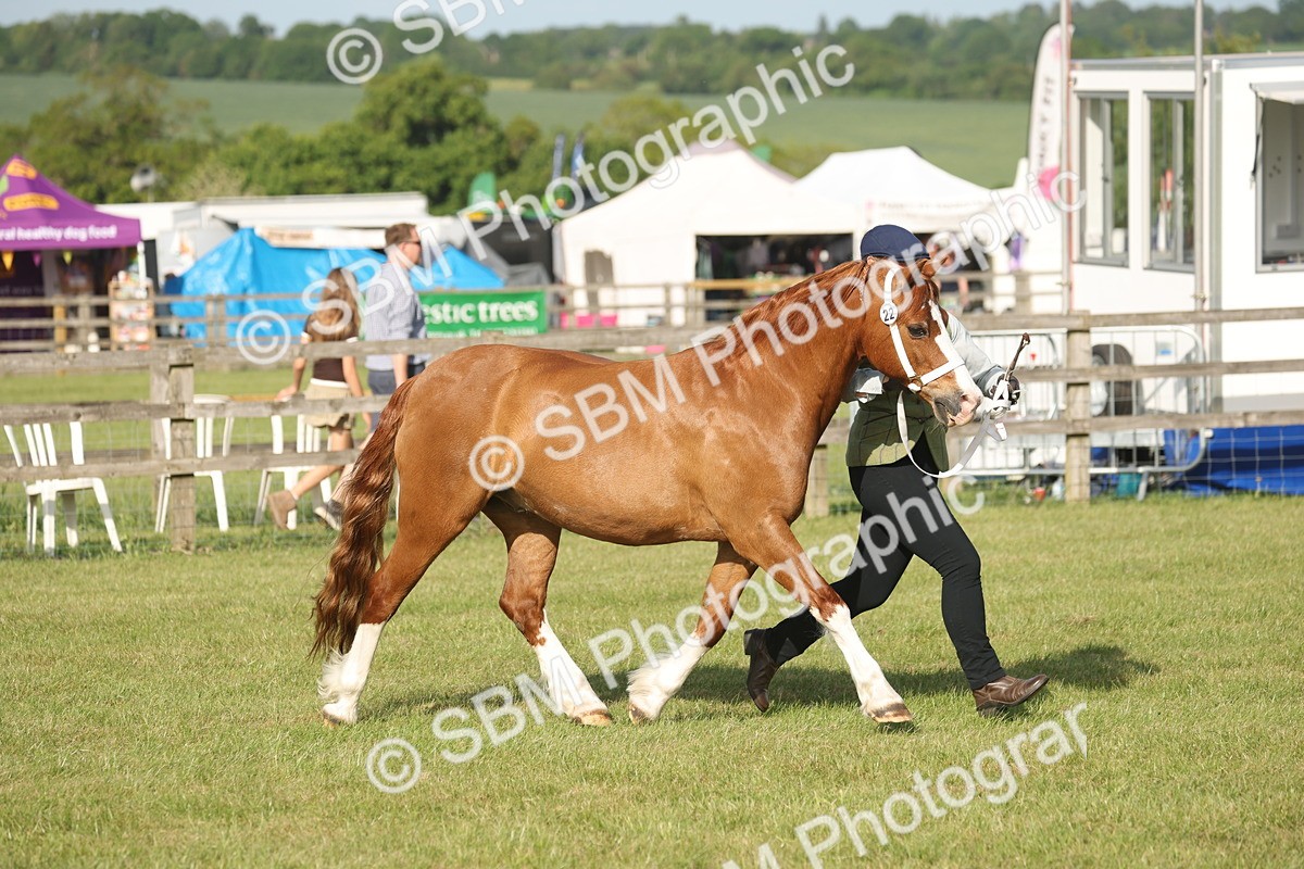 SBM_10490 - Class 33-38 - SSADL RIHS Qualifiers