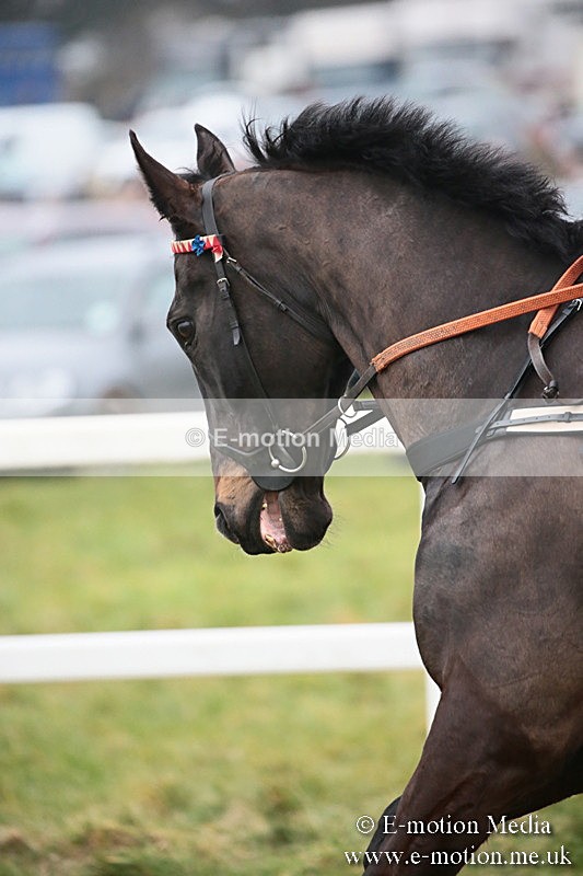 PtP 170219 -383 - Combined Services Point-To-Point Larkhill 17/02/19