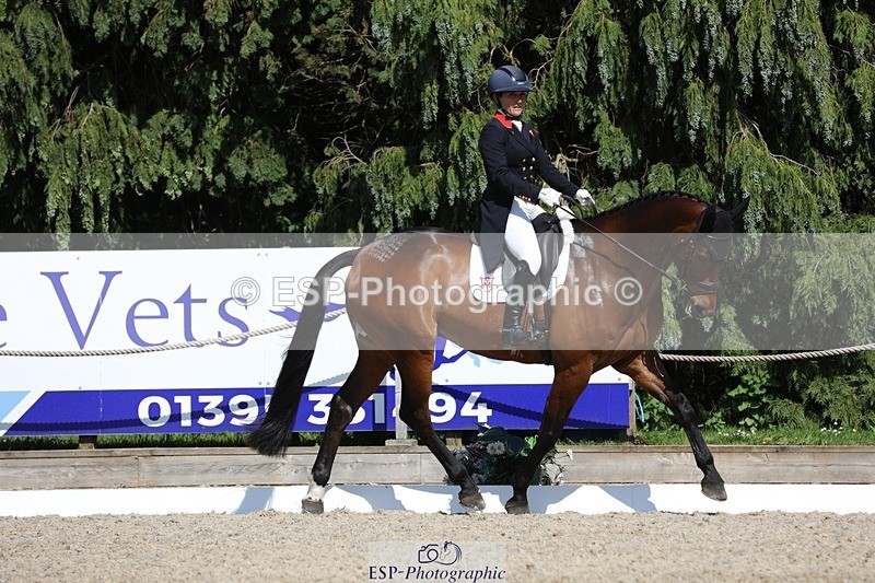 230526-160409-07748 - 168-PARKFIELD_ARTIE_BLOU-Laura_Collett-WEDTrotUp+DR