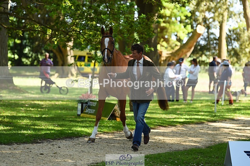 230524-154706-00495 - 370-DUKE_LEGACY-William_Fox-Pitt-WEDTrotUp+DR