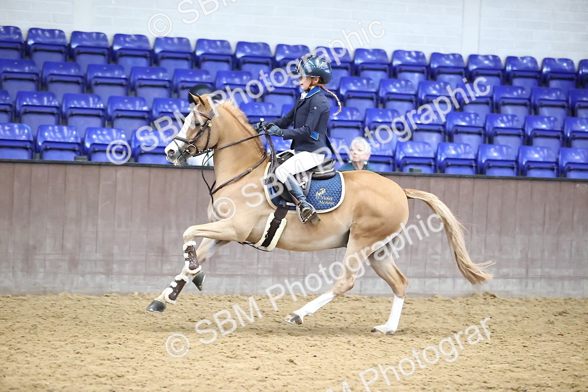 SBM_001111 - Class 3 - Springboard 128cm 138cm Restricted handicap 85cm 95cm