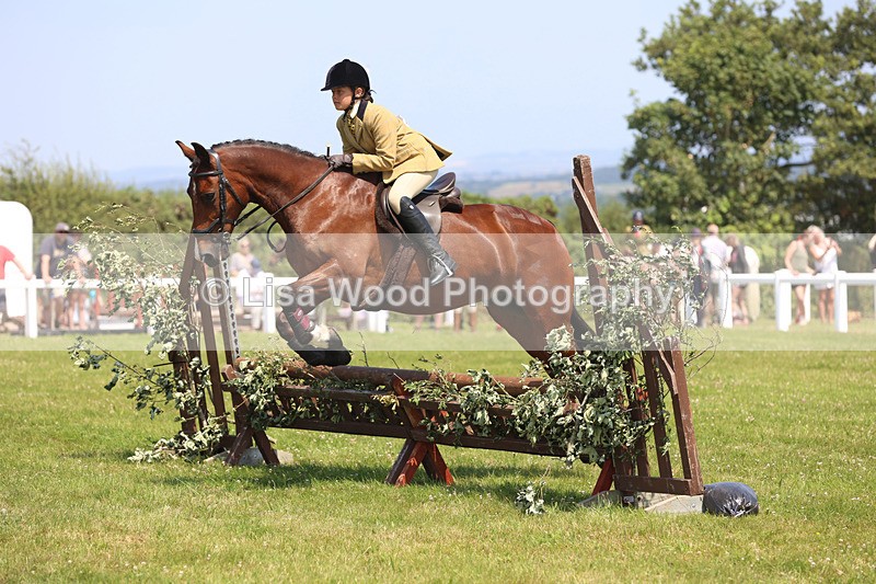 JPP_2996 - Class 22: Working Hunter 70cm