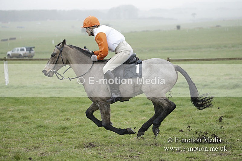 PtP 150320 0095 - New Forest Point-to-Point Larkhill 15/03/20