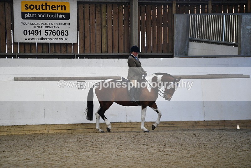 WJ5_5896 - Class 9 Ridden Veteran