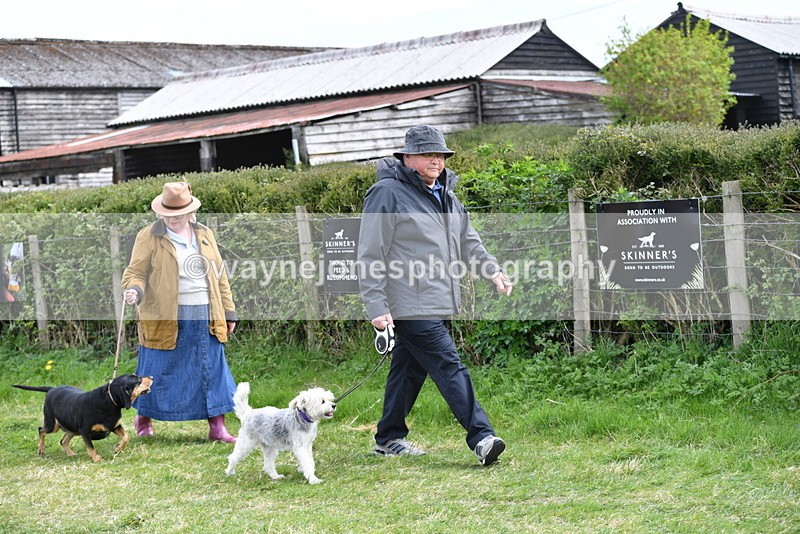 WJ5_9916 - Class 5 Best Veteran / 7 years & over