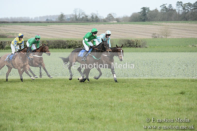 PtP 230319 174 - VWH Hunt Siddington Point-to-Point Racing 23/03/19