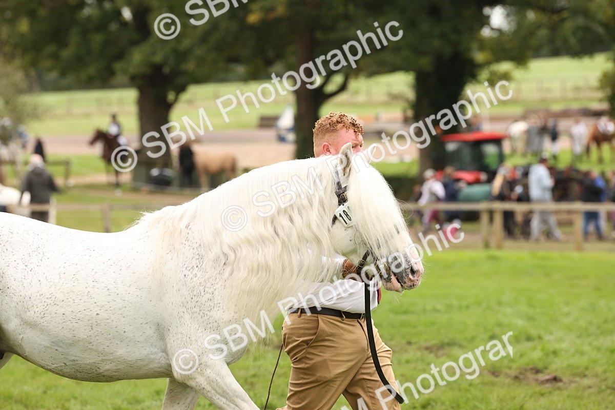 SBM_59305 - S57 - Traditional Cob In Hand