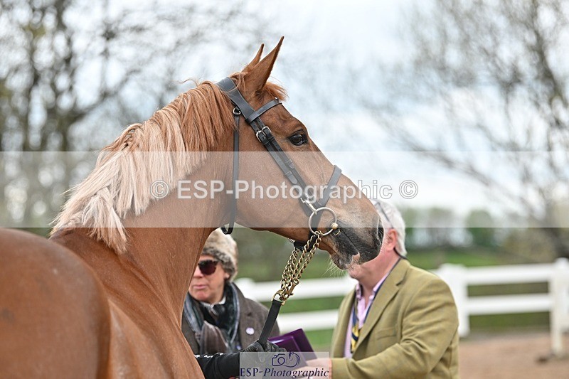 250423-141912-01078 - 2pm to 3pm