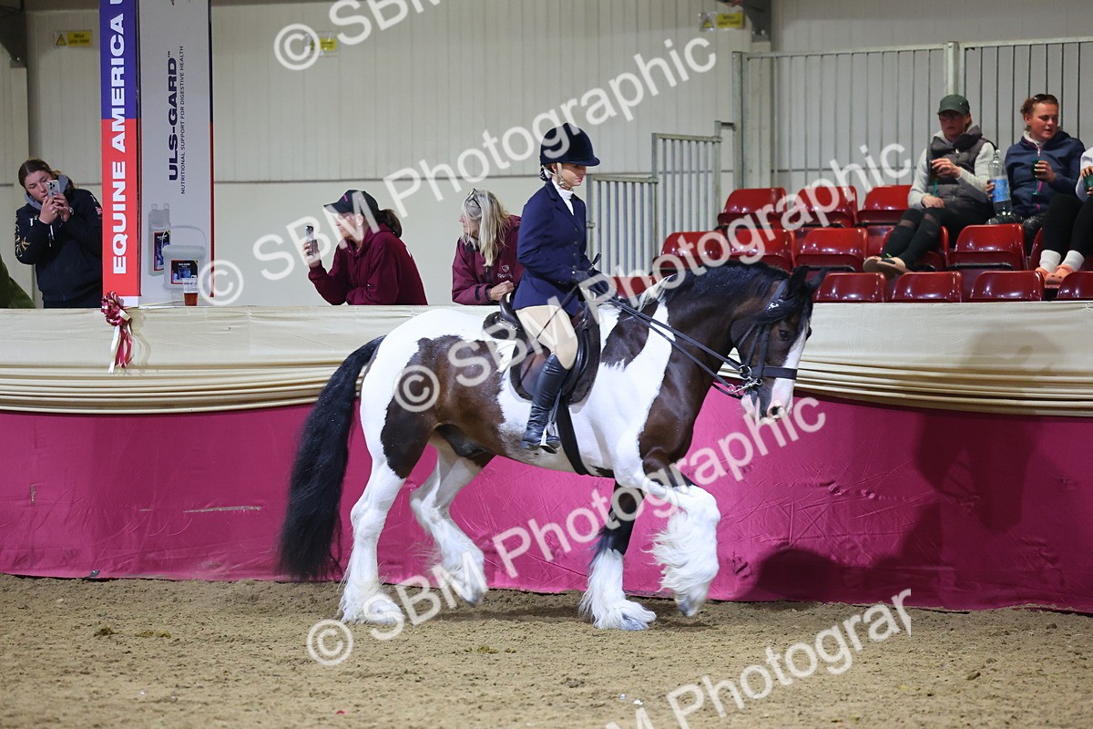 0B8A4628 - Class R Working Veteran Champ