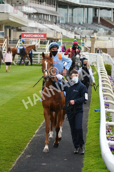 yr14052021r5-16 - Race 5 3.40pm The Jigsaw Sports Branding Handicap